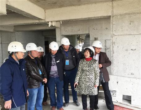 集團(tuán)公司黃梅率檢查組到公司項目進(jìn)行安全生產(chǎn)大檢查