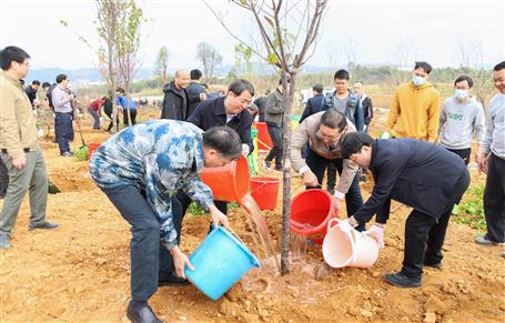 吳煒率隊到公司承建的項目舉行新春義務(wù)植樹活動