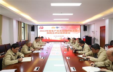 廖立波、唐峰、何勇以普通黨員身份參加所在黨支部2022年度組織生活會(huì)